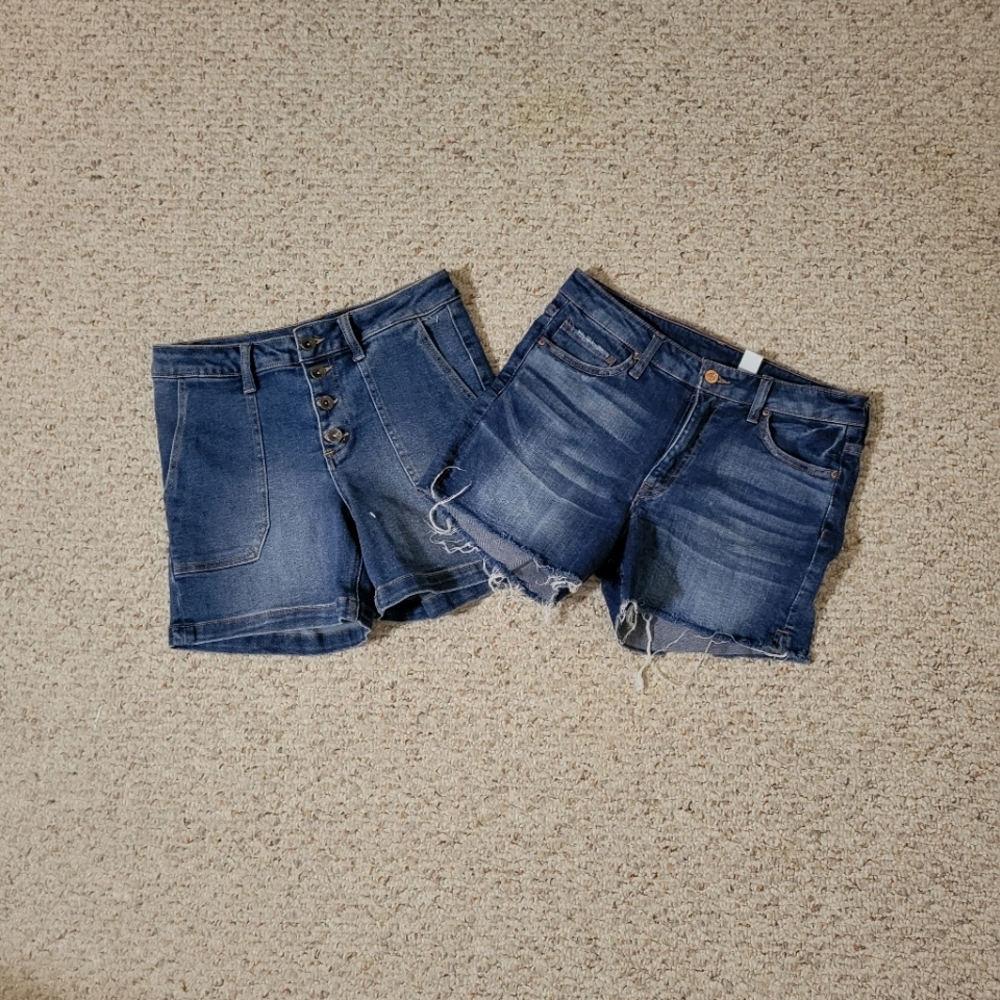 Bundle Shorts American Eagle and Max Studio